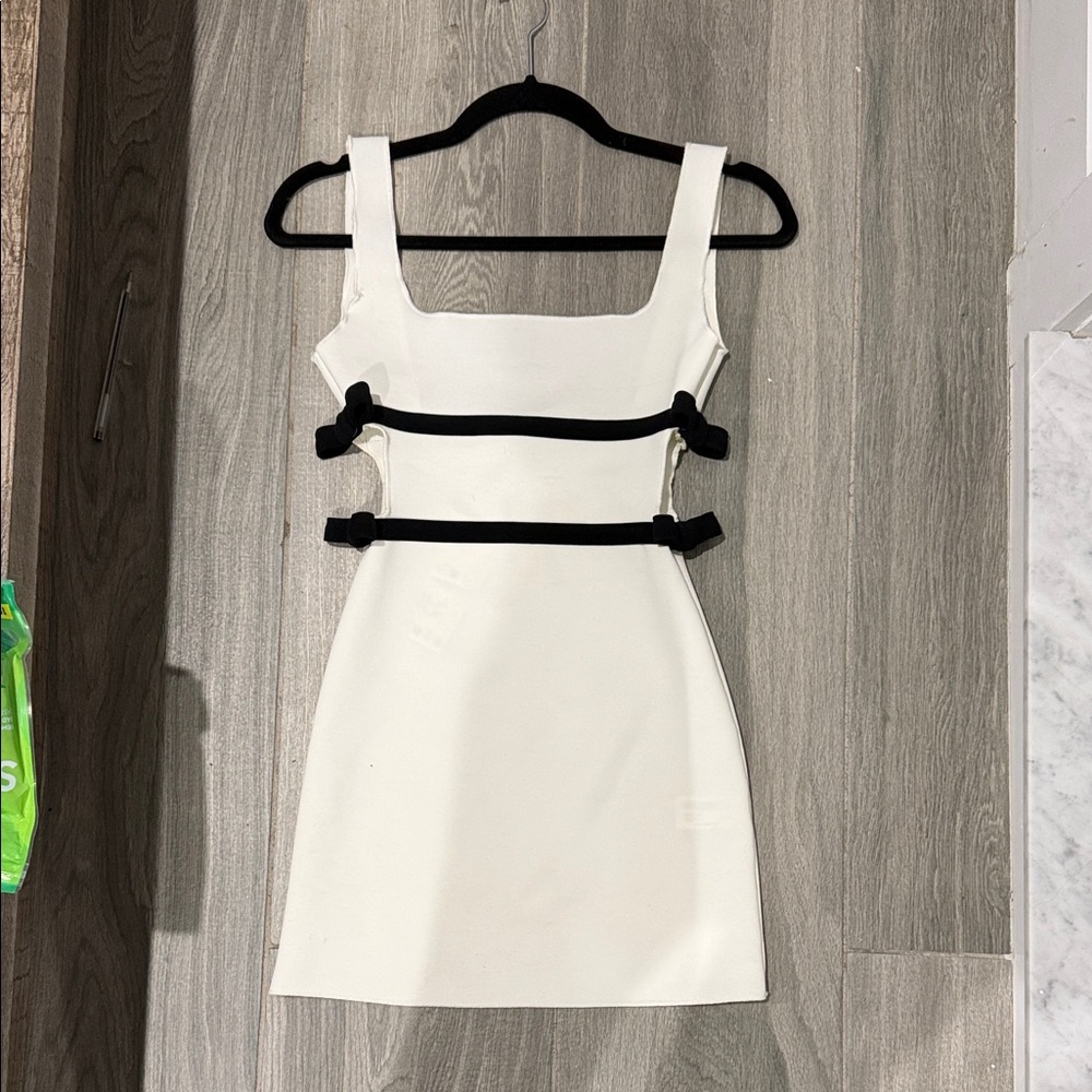 NWT Zara dress